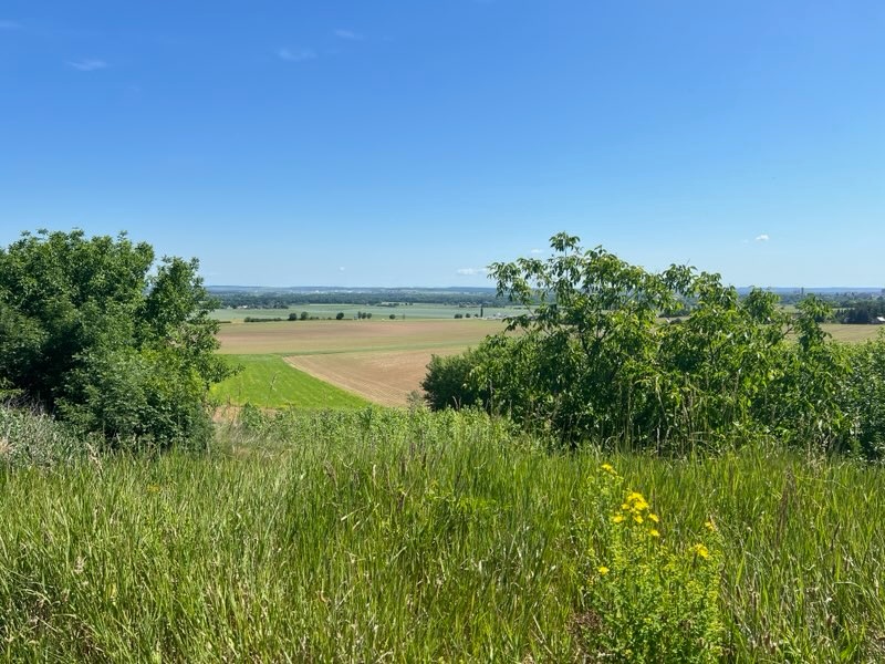 Prodej stavebního pozemku 1 050 m², Beroun-Zavadilka