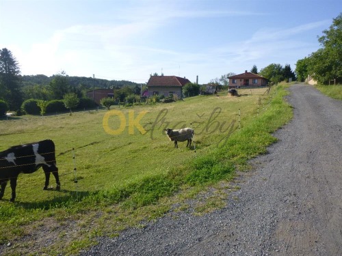 3. KOLO id. 1/2 pozemku (zahrady) ve Vrátkově, okr. Kolín — fotka 4