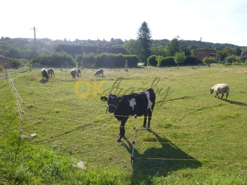 3. KOLO id. 1/2 pozemku (zahrady) ve Vrátkově, okr. Kolín — fotka 3