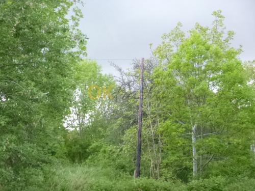 Pozemky a podíl na pozemcích v k.ú. Hradešín, okr. Kolín — fotka 5