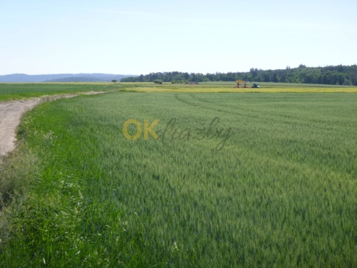 Podíly na pozemcích v k.ú. Kotenčice, okr. Příbram