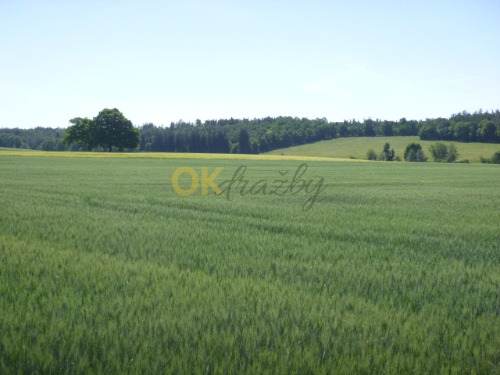 Podíly na pozemcích v k.ú. Kotenčice, okr. Příbram — fotka 2