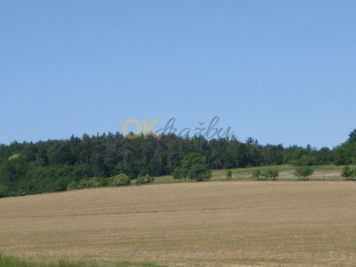 Podíly na pozemcích v k.ú. Kotenčice, okr. Příbram — fotka 6