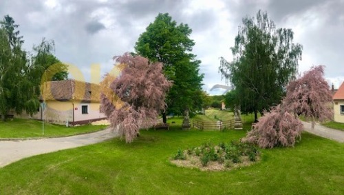 Rodinný dům v k.ú. Hnanice — fotka 4