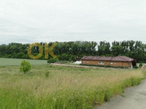 id. 1/16 pozemků v Rousínově, okr. Vyškov — fotka 5