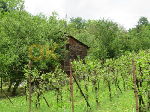 Pozemek (zahrada) s chatkou a zemním sklepem v k.ú. Obřany, obec Brno, okr. Brno-město — fotka 4