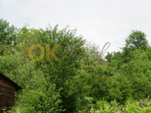 Pozemek (zahrada) s chatkou a zemním sklepem v k.ú. Obřany, obec Brno, okr. Brno-město — fotka 5
