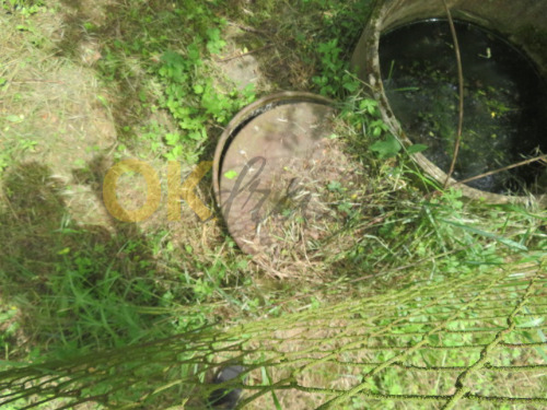 Pozemek (zahrada) s chatkou a zemním sklepem v k.ú. Obřany, obec Brno, okr. Brno-město — fotka 7