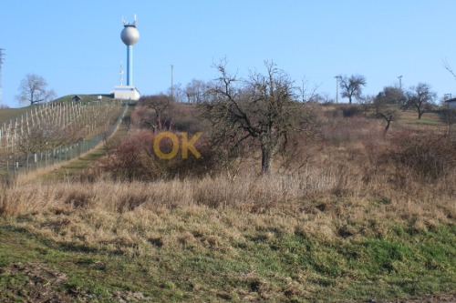 Spoluvlastnický podíl ve výši 1/2 na pozemcích ve městě Hrušovany nad Jevišovkou, okres Znojmo