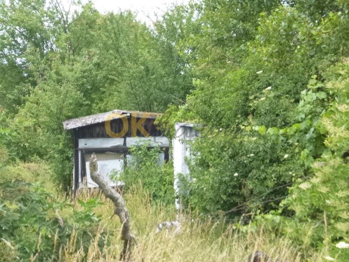 Zahrada v k.ú. Městec Králové, okr. Nymburk — fotka 2
