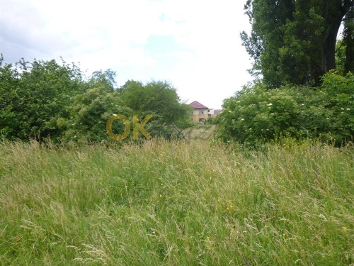 Zahrada v k.ú. Městec Králové, okr. Nymburk — fotka 7
