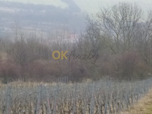 Podíl na pozemcích v k.ú. Žeravice u Kyjova a k.ú. Syrovín, okr. Hodonín — fotka 5