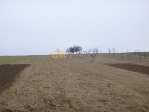 Podíl na pozemcích v k.ú. Žeravice u Kyjova a k.ú. Syrovín, okr. Hodonín — fotka 6