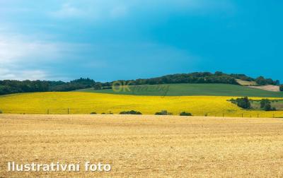 Pozemky o výměře 547 m² v k.ú. Srdov — fotka 4