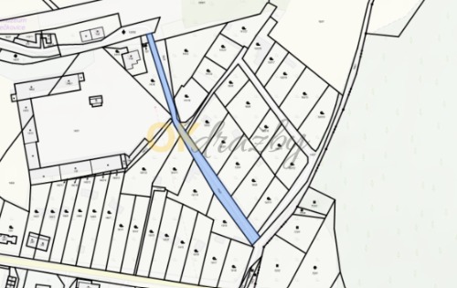 Pozemky o výměře 3 611 m² v k.ú. Lovečkovice — fotka 3