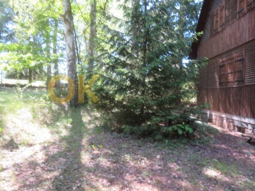 Dražba chaty č.e. 12, Bošov, okr. Chrudim — fotka 4