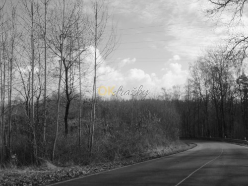 Pozemek parc. č. 294/3 v k. ú. Dasnice, okres Sokolov — fotka 2
