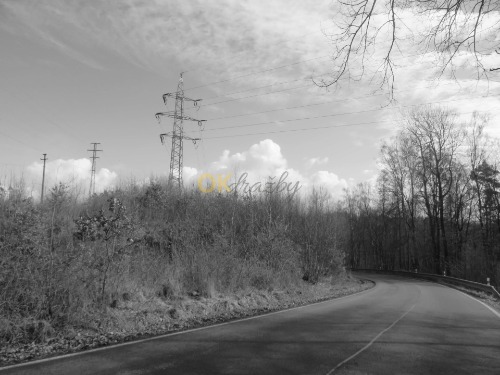 Pozemek parc. č. 294/3 v k. ú. Dasnice, okres Sokolov — fotka 3