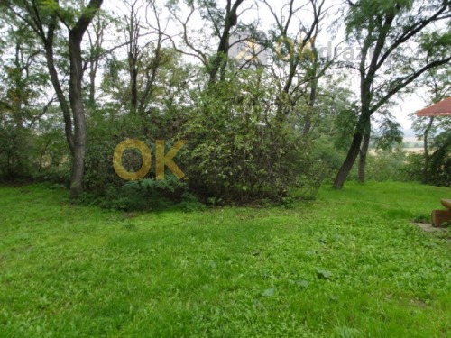 OPAKOVANÁ DRAŽBA pozemky v obci Dyjákovičky, okres Znojmo — fotka 2