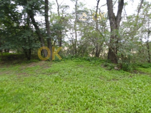 OPAKOVANÁ DRAŽBA pozemky v obci Dyjákovičky, okres Znojmo — fotka 4
