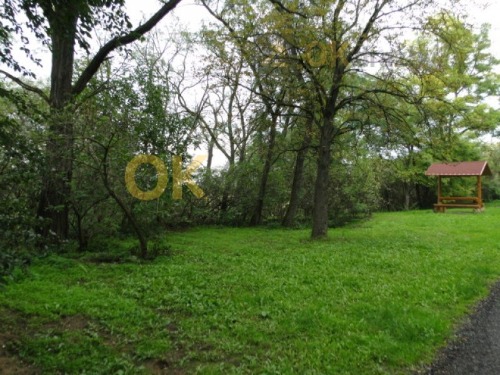OPAKOVANÁ DRAŽBA pozemky v obci Dyjákovičky, okres Znojmo — fotka 7