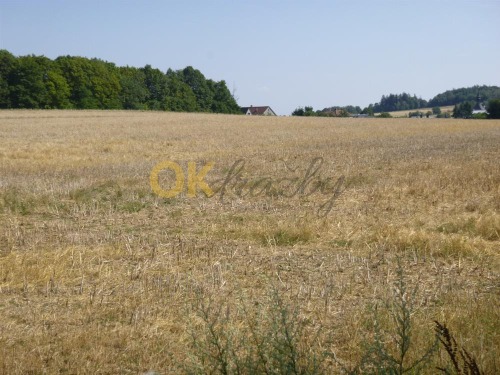 Podíl na pozemcích v k.ú. Brodek u Konice, okr. Prostějov a k.ú. Křenov, okr. Svitavy — fotka 4