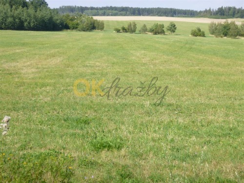 Podíl na pozemcích v k.ú. Brodek u Konice, okr. Prostějov a k.ú. Křenov, okr. Svitavy — fotka 7