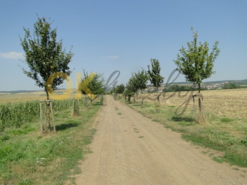 id. 1/8 pozemků v Sivicích, okr. Brno - venkov — fotka 2