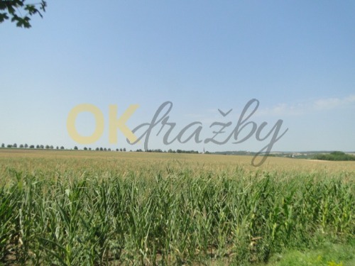 id. 1/8 pozemků v Sivicích, okr. Brno - venkov — fotka 3