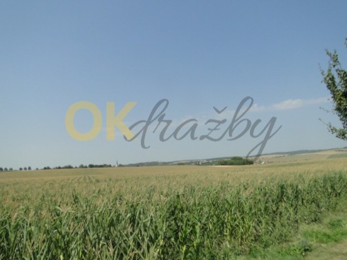 id. 1/8 pozemků v Sivicích, okr. Brno - venkov — fotka 5