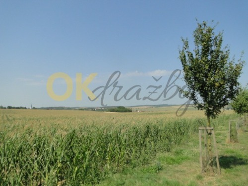 id. 1/8 pozemků v Sivicích, okr. Brno - venkov — fotka 6