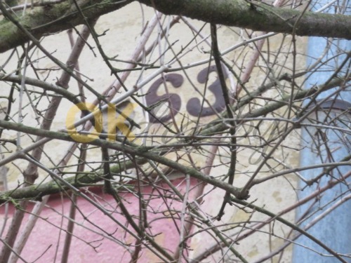 Dražba RD Bezkov, okr. Znojmo — fotka 2