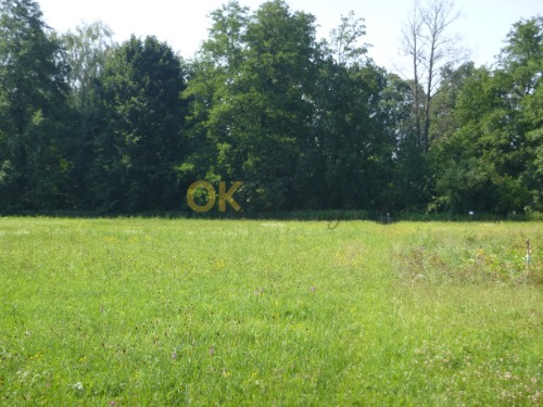 Podíl 1/3 na pozemcích v k.ú. Třebechovice pod Orebem — fotka 2
