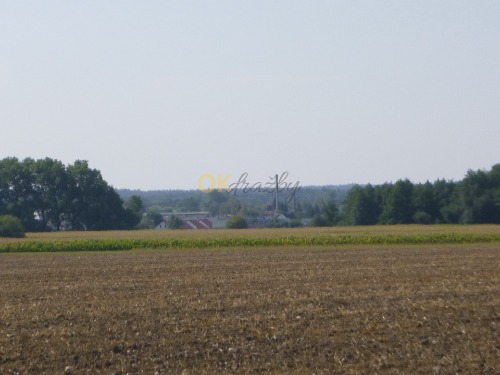 Podíl 1/3 na pozemcích v k.ú. Třebechovice pod Orebem — fotka 3
