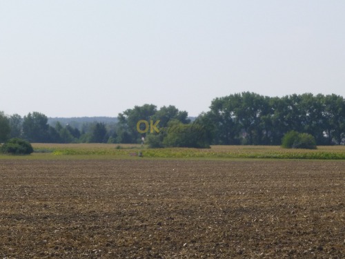Podíl 1/3 na pozemcích v k.ú. Třebechovice pod Orebem — fotka 4