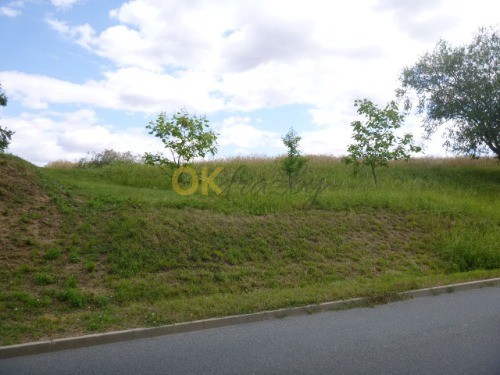 Podíl 1/6 na pozemcích v k.ú. Dětkovice, okres Vyškov