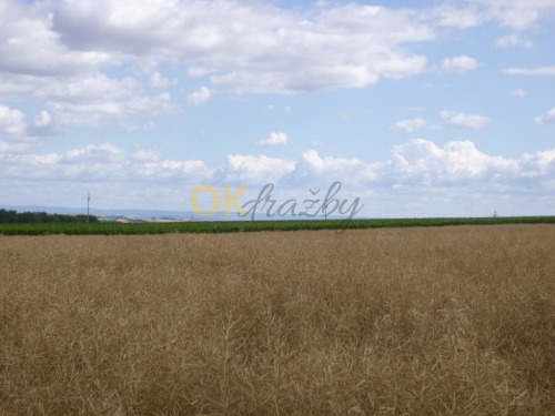 Podíl 1/6 na pozemcích v k.ú. Dětkovice, okres Vyškov — fotka 2