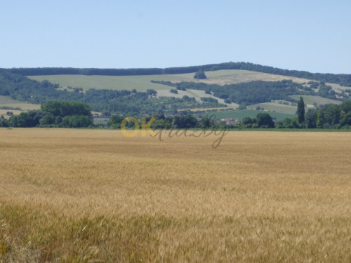 Podíl na pozemcích v k.ú. Hroznová Lhota
