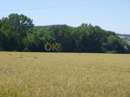 Podíl na pozemcích v k.ú. Hroznová Lhota — fotka 2