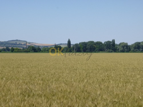 Podíl na pozemcích v k.ú. Hroznová Lhota — fotka 3