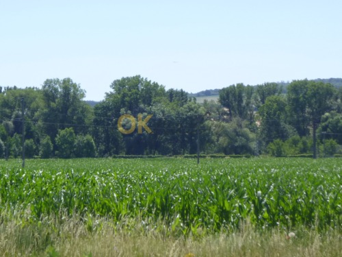 Podíl na pozemcích v k.ú. Hroznová Lhota — fotka 5