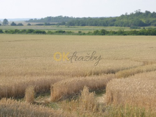 Podíl na pozemcích v k.ú. Zbyslav, okr. Kutná Hora — fotka 3