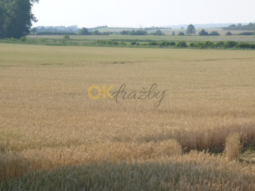 Podíl na pozemcích v k.ú. Zbyslav, okr. Kutná Hora — fotka 4