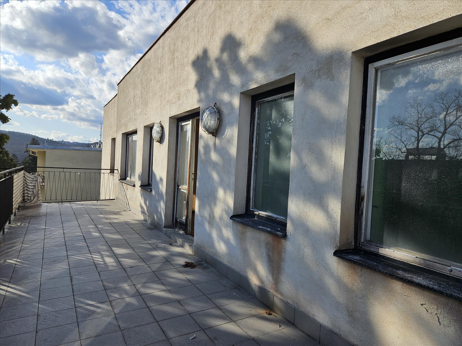 Dům a zahrada Lipová 31, Brno — fotka 7