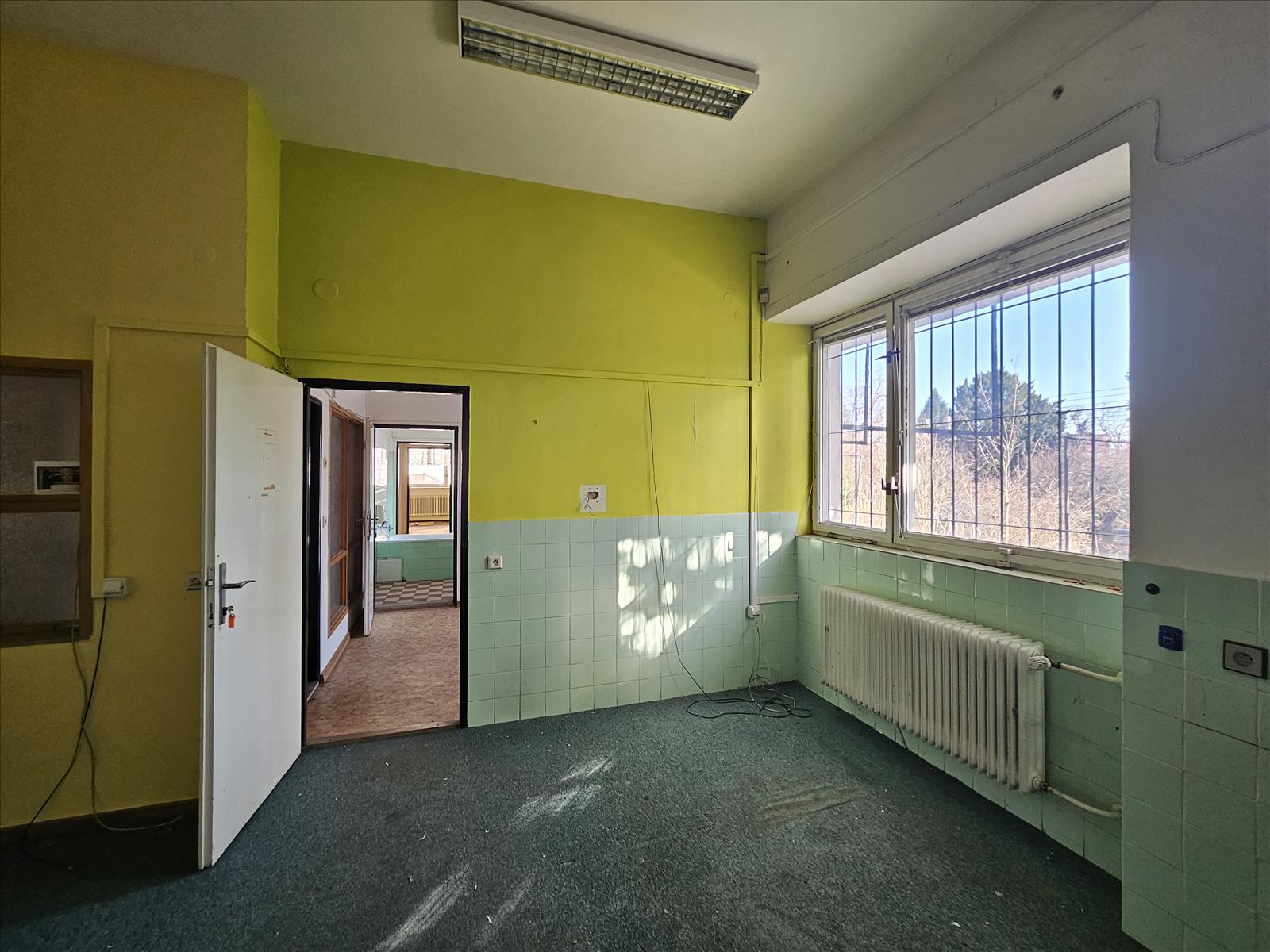Dům a zahrada Lipová 31, Brno — fotka 5