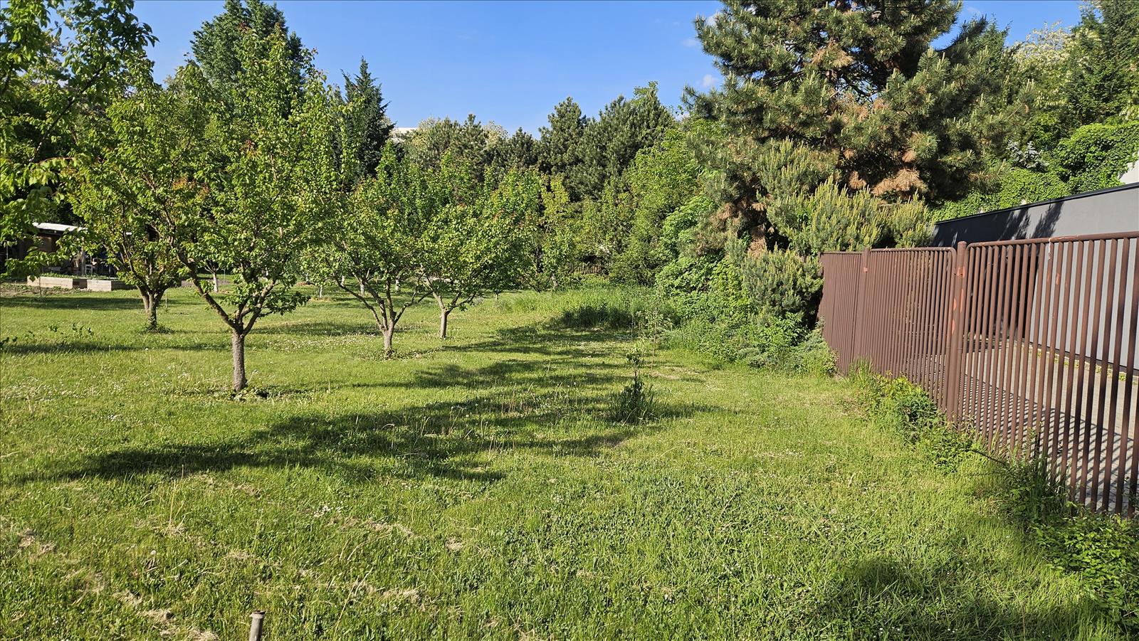 Pozemek p.č. 4701/4 k.ú. Židenice — fotka 4