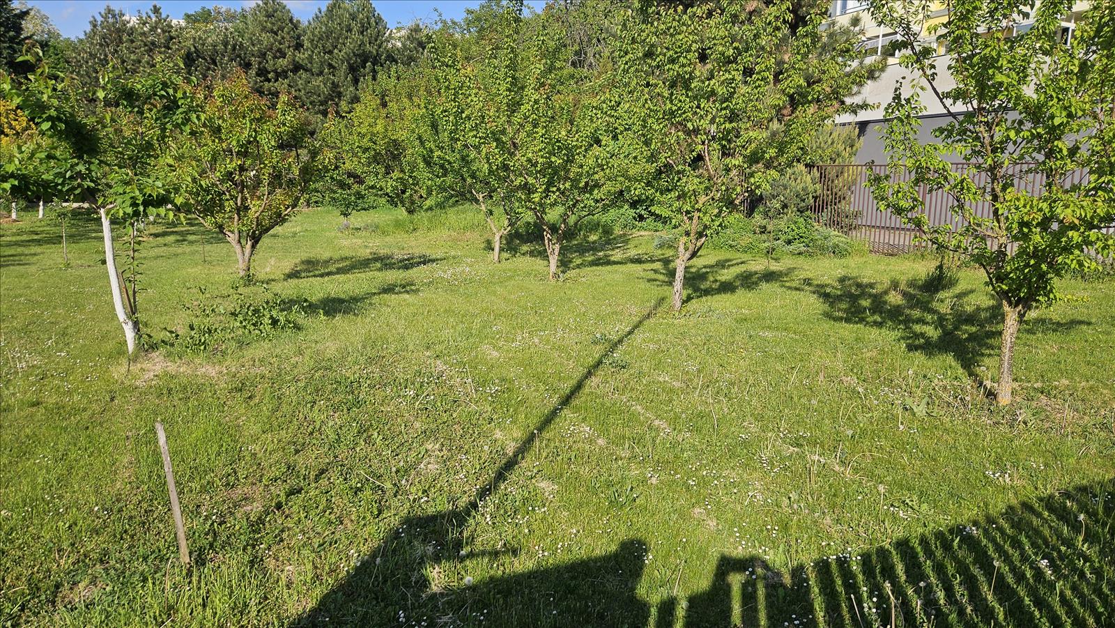 Pozemek p.č. 4701/4 k.ú. Židenice — fotka 2