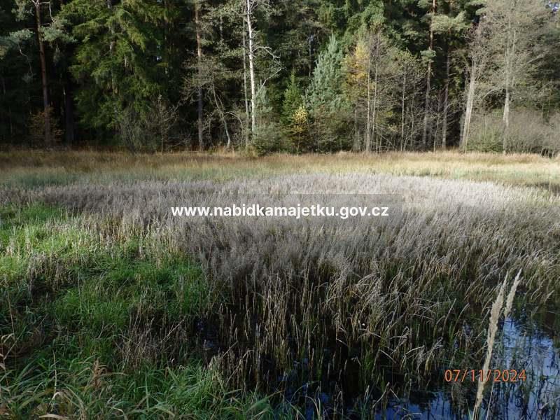 PRODEJ - Chrbonín, KN 968 - AV č. CTA/091A/2026 — fotka 3