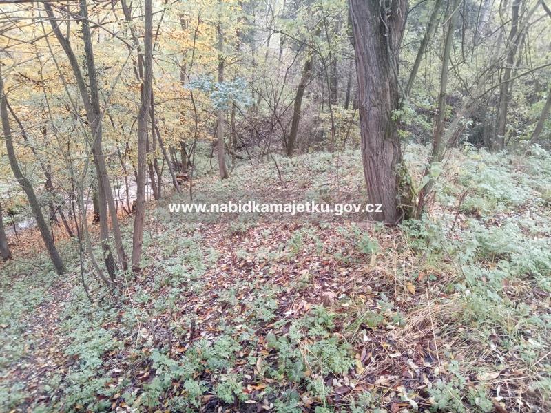 Županovice - pozemková parc. č. 541 — fotka 2