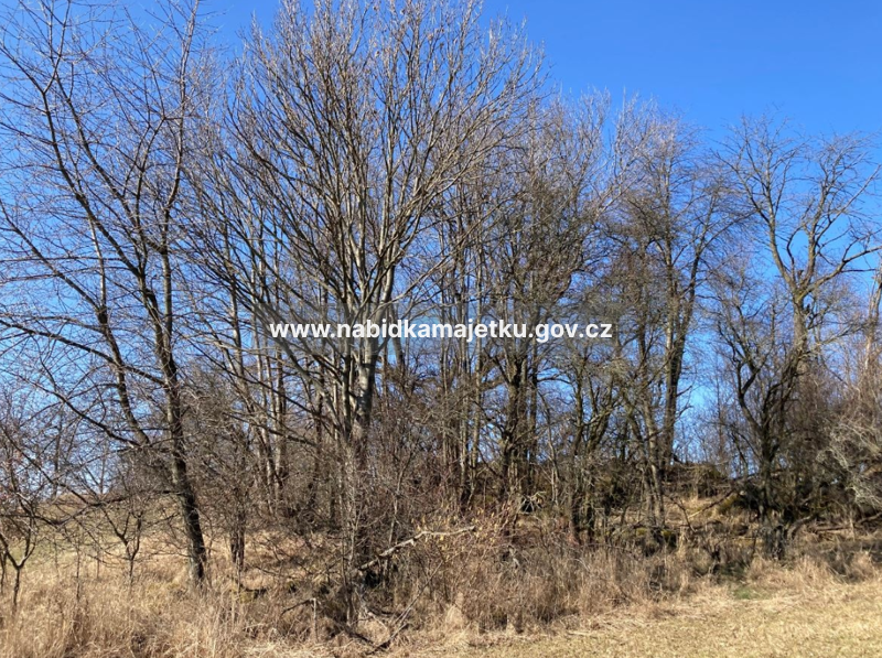 k. ú. Skuteč - pozemek - p. p. č. 2369 — fotka 2